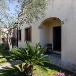 Mariposa San Teodoro (Sardinia)